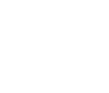NUI Verification Services